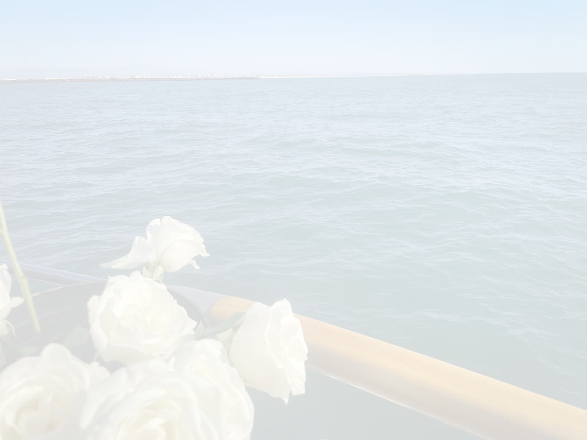31739100_n.jpg
